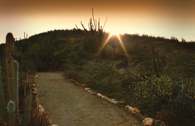 Nascer do sol no Arikok - o parque nacional arubano ocupa 20% da área total da ilha