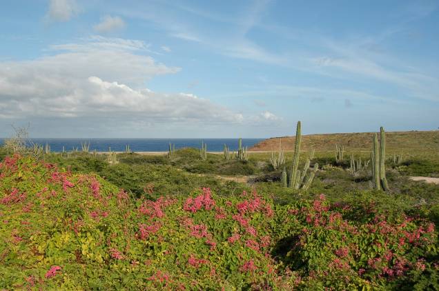 Com vegetação espinhosa, o parque fica em uma área árida, com baixo índice pluviométrico Com vegetação espinhosa, o parque fica em uma área árida, com baixo índice pluviométrico