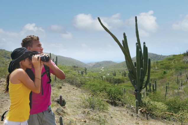 Várias espécies de cáctus estão espalhadas pelo parque nacional de Arikok, em Aruba