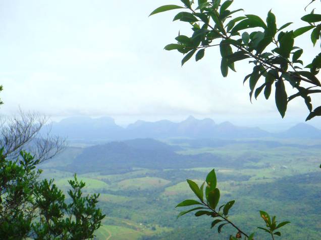 <strong>7. Costa do Descobrimento: reservas da Mata Atlântica, na Bahia e no Espírito Santo </strong>As reservas da Costa do Descobrimento estão em uma área protegida de mais de 112 mil hectares, que inclui uma parte significativa da Mata Atlântica. Nela, estão inclusos três parques nacionais, (do Descobrimento, o Monte Pascoal e o Pau Brasil); duas reservas biológicas (<a href="http://www.icmbio.gov.br/rebiosooretama/" target="_blank" rel="noopener">Sooretama</a> e a do <a href="http://www.icmbio.gov.br/portal/unidadesdeconservacao/biomas-brasileiros/mata-atlantica/unidades-de-conservacao-mata-atlantica/2158" target="_blank" rel="noopener">Una</a>); e três reservas especiais (Veracruz, Pau Brasil e Linhares). Essas reservas foram tombadas pela Unesco em 1999 e despertam o interesse de visitantes e estudiosos graças às espécies endêmicas e ao seu valor científico