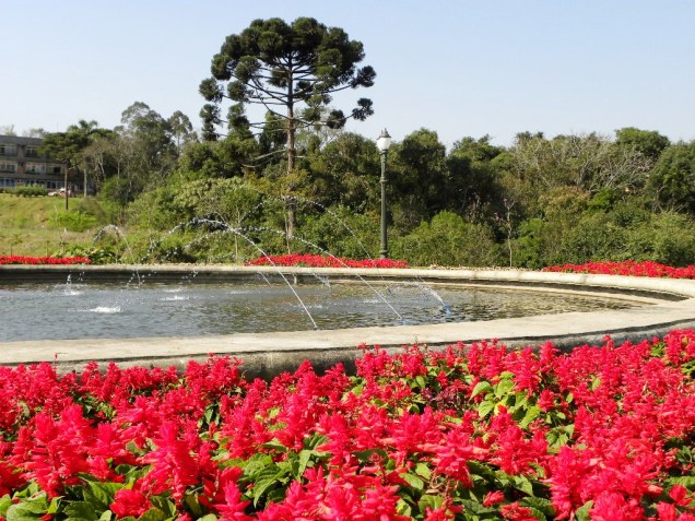 O jardim em estilo francês do <a href="https://viajeaqui.abril.com.br/estabelecimentos/br-pr-curitiba-atracao-parque-tangua" rel="Parque Tanguá" target="_blank">Parque Tanguá</a>, em <a href="https://viajeaqui.abril.com.br/cidades/br-pr-curitiba" rel="Curitiba (PR)" target="_blank">Curitiba (PR)</a> foi inaugurado em 1998 e espelhos d’água envoltos por canteiros de flores