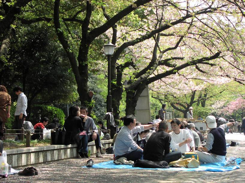 Toda primavera os japoneses se divertem bebendo cerveja e confraternizando sob as cerejeiras em flor. Na foto, o Parque Ueno