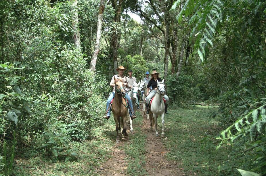 Entre as atividades do Centro de Lazer Tarundu, em Campos do Jordão, os cavalos continuam em alta, com aulas de equitação, pista de salto e trilhas