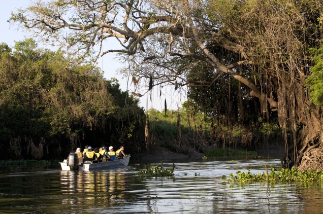 Passeio fluvial no Pantanal, em Poconé, Mato Grosso