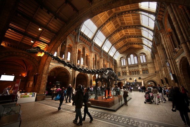 O Natural History Museum, em Knightsbridge, é um excelente passeio para crianças e adolescentes, uma forma lúdica para compreender a ciência e ver como viviam os dinossauros