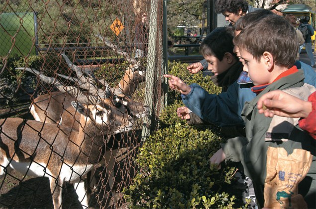 Pibes e cervos no zoológico de Buenos Aires