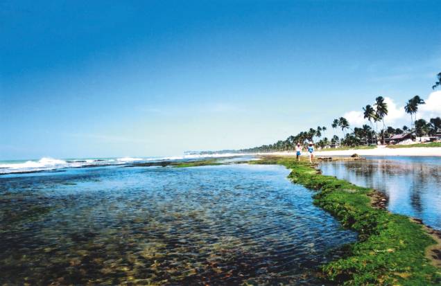 Piscinas naturais na Praia do Cupe, em direção a Muro Alto Piscinas naturais na Praia do Cupe, em direção a Muro Alto