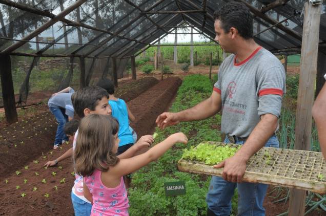 Plantio em horta Plantio em horta