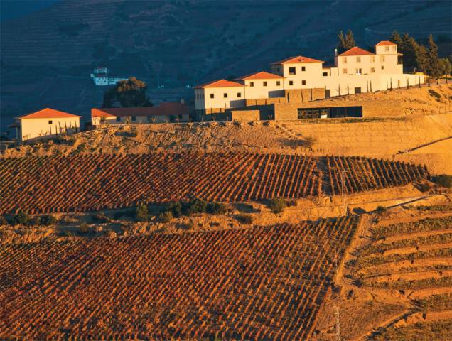Parreirais do Vale do Rio Douro, no norte de Portugal Parreirais do Vale do Rio Douro, no norte de Portugal
