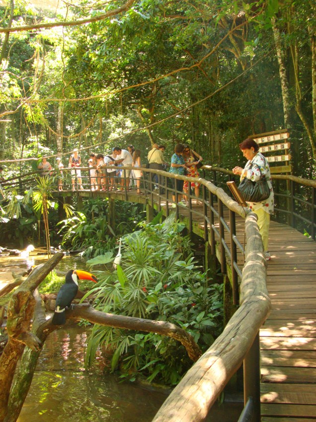 O dinheiro arrecadado com a venda de ingressos ajuda nos programas de educação ambiental, conservação e reprodução em cativeiro de aves ameaçadas de extinção no Parque das Aves, em Foz do Iguaçu (PR)