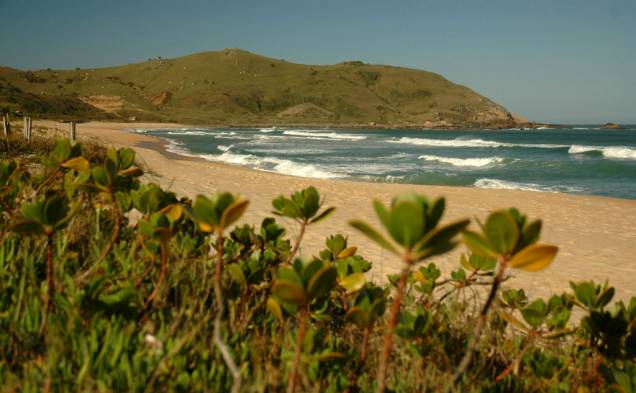 <strong>2. Praia Silveira, Garopaba</strong> Atenção: a passagem para carros é estreita e não há muito espaço para estacionar. <a href="https://www.booking.com/searchresults.pt-br.html?aid=332455&lang=pt-br&sid=eedbe6de09e709d664615ac6f1b39a5d&sb=1&src=index&src_elem=sb&error_url=https%3A%2F%2Fwww.booking.com%2Findex.pt-br.html%3Faid%3D332455%3Bsid%3Deedbe6de09e709d664615ac6f1b39a5d%3Bsb_price_type%3Dtotal%26%3B&ss=Praia+da+Silveira%2C+Garopaba%2C+Santa+Catarina%2C+Brasil&checkin_monthday=&checkin_month=&checkin_year=&checkout_monthday=&checkout_month=&checkout_year=&no_rooms=1&group_adults=2&group_children=0&from_sf=1&ss_raw=Praia+Silveira%2C&ac_position=0&ac_langcode=xb&dest_id=235918&dest_type=landmark&search_pageview_id=f0556dbd273e02dd&search_selected=true&map=1#map_closed" target="_blank" rel="noopener"><em>Busque hospedagens na Praia Silveira no Booking.com</em></a> <strong>2. Praia Silveira, Garopaba</strong> Atenção: a passagem para carros é estreita e não há muito espaço para estacionar. <a href="https://www.booking.com/searchresults.pt-br.html?aid=332455&lang=pt-br&sid=eedbe6de09e709d664615ac6f1b39a5d&sb=1&src=index&src_elem=sb&error_url=https%3A%2F%2Fwww.booking.com%2Findex.pt-br.html%3Faid%3D332455%3Bsid%3Deedbe6de09e709d664615ac6f1b39a5d%3Bsb_price_type%3Dtotal%26%3B&ss=Praia+da+Silveira%2C+Garopaba%2C+Santa+Catarina%2C+Brasil&checkin_monthday=&checkin_month=&checkin_year=&checkout_monthday=&checkout_month=&checkout_year=&no_rooms=1&group_adults=2&group_children=0&from_sf=1&ss_raw=Praia+Silveira%2C&ac_position=0&ac_langcode=xb&dest_id=235918&dest_type=landmark&search_pageview_id=f0556dbd273e02dd&search_selected=true&map=1#map_closed" target="_blank" rel="noopener"><em>Busque hospedagens na Praia Silveira no Booking.com</em></a>