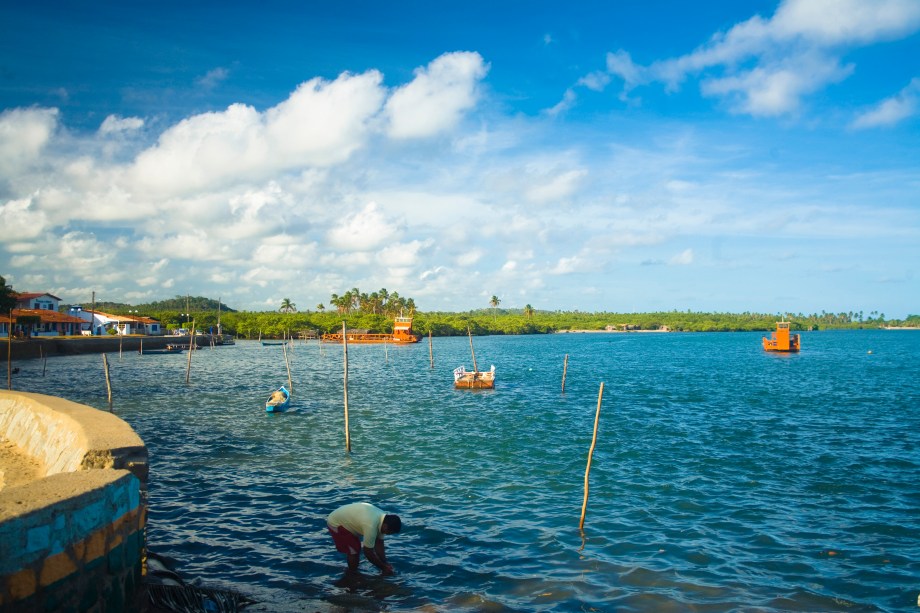 Repleta de coqueiros,  larga faixa de areia, mar verde e recifes, a Japaratinga, em Maragogi, Alagoas, também tem a sua piscina natural, conhecida como Picão.