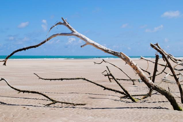 É na <a href="http://viajeaqui.abril.com.br/estabelecimentos/br-al-maceio-atracao-praia-paripueira">praia de Paripueira</a> que começam os bancos de corais que chegam até Recife, no Pernambuco. Essa característica faz da praia uma das mais tranquilas de Alagoas – a barreira protege os banhistas das ondas fortes