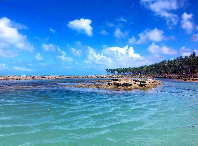 Com seu mar azul cristalino e formações peculiares, a <a href="https://viajeaqui.abril.com.br/estabelecimentos/br-pe-tamandare-atracao-dos-carneiros" rel="praia dos Carneiros" target="_blank">Praia dos Carneiros</a>, em Tamandaré, atrai moradores de Recife que descem pelo litoral para passarem o dia inteiro por ali