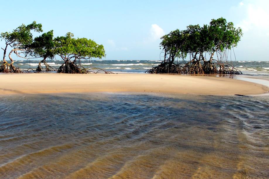 <strong><a href="https://viajeaqui.abril.com.br/cidades/br-pa-ilha-de-marajo" rel="Ilha de Marajó (PA)" target="_blank">Ilha de Marajó (PA)</a> — CINCO NOITES COM PASSEIOS</strong>Com 2 noites em <a href="https://viajeaqui.abril.com.br/cidades/br-pa-belem" rel="Belém" target="_blank">Belém</a>, no <a href="https://www.tulipinnbatistacampos.com/pt-pt" rel="Tulip Inn Batista Campos" target="_blank">Tulip Inn Batista Campos</a>, e 3 em Marajó, na <a href="https://ocantodofrances.blogspot.com.br/" rel="Pousada Canto do Francês" target="_blank">Pousada Canto do Francês</a>. Com traslados, city tour, visita ao Furo Miguelão e à Praia do Pesqueiro.<strong>Quando:</strong> em janeiro<strong>Quem leva:</strong> <a href="https://terramater.com.br/" rel="Terra Mater" target="_blank">Terra Mater</a><strong>Quanto:</strong> R$ 2936