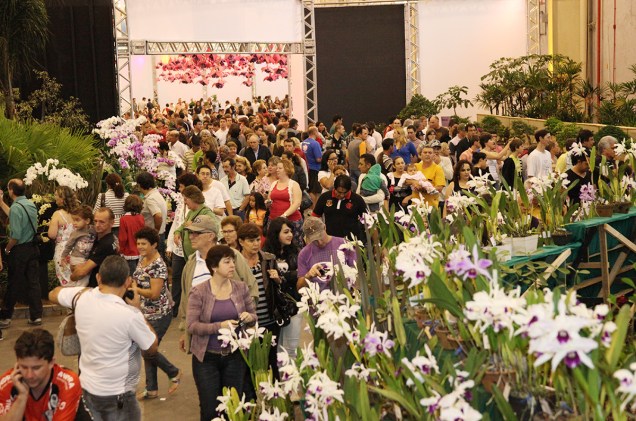 Até dia 16 de novembro acontece em Joinville a 76ª Festa das Flores. O evento é o que mais comercializa orquídeas no Brasil.