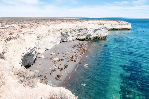 <strong>Península Valdés- <a href="https://viajeaqui.abril.com.br/paises/argentina" target="_blank">Argentina</a></strong> <strong>Península Valdés- <a href="https://viajeaqui.abril.com.br/paises/argentina" target="_blank">Argentina</a></strong>