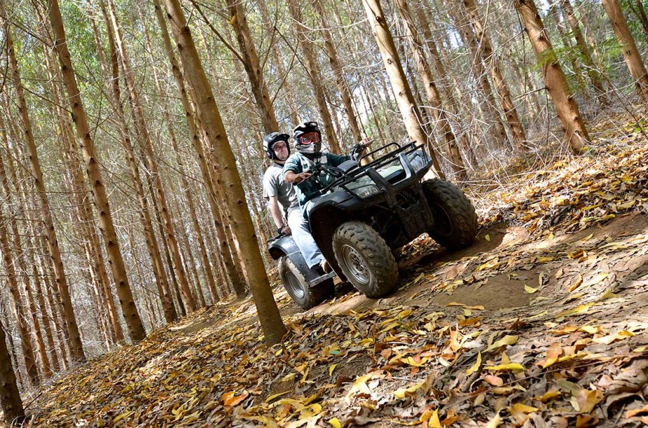 O roteiro do passeio de quadriciclo passa por dentro de uma cheirosa floresta de eucaliptos