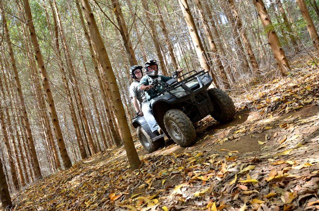 O roteiro do passeio de quadriciclo passa por dentro de uma cheirosa floresta de eucaliptos