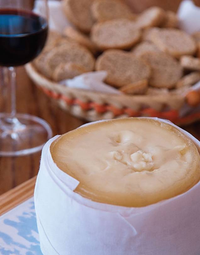 O queijo amanteigado da <strong>Serra da Estrela</strong>, uma delícia exclusiva da Terrinha