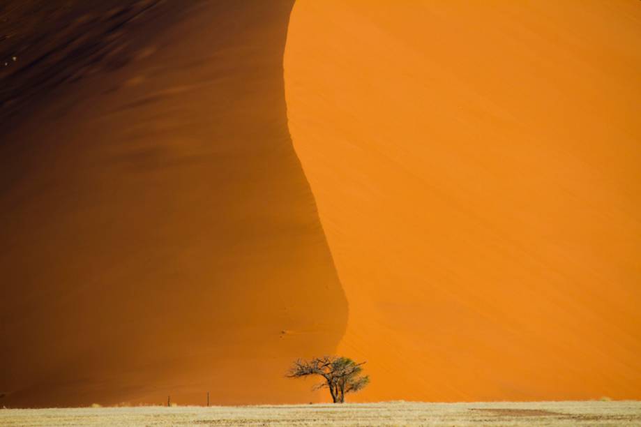 <a href="https://teresaperez.com.br/" rel="TERESA PEREZ " target="_blank"><strong>TERESA PEREZ</strong> </a><strong>O QUE ELA FAZ POR VOCÊ</strong>Leva para a Namíbia com luxo.<strong>PACOTE</strong>Após o pernoite em Windhoek, são nove noites entre Sossusvlei (foto), com safáris fotográficos, Skeleton Coast, região inóspita onde carcaças de navios e esqueletos de mamíferos se misturam às dunas; e Serra Cafema, terra do secular povo Himba. Em hotéis top com pensão completa, sai a US$ 9 843 (s/ aéreo). <a href="https://teresaperez.com.br/" rel="TERESA PEREZ " target="_blank"><strong>TERESA PEREZ</strong> </a><strong>O QUE ELA FAZ POR VOCÊ</strong>Leva para a Namíbia com luxo.<strong>PACOTE</strong>Após o pernoite em Windhoek, são nove noites entre Sossusvlei (foto), com safáris fotográficos, Skeleton Coast, região inóspita onde carcaças de navios e esqueletos de mamíferos se misturam às dunas; e Serra Cafema, terra do secular povo Himba. Em hotéis top com pensão completa, sai a US$ 9 843 (s/ aéreo).