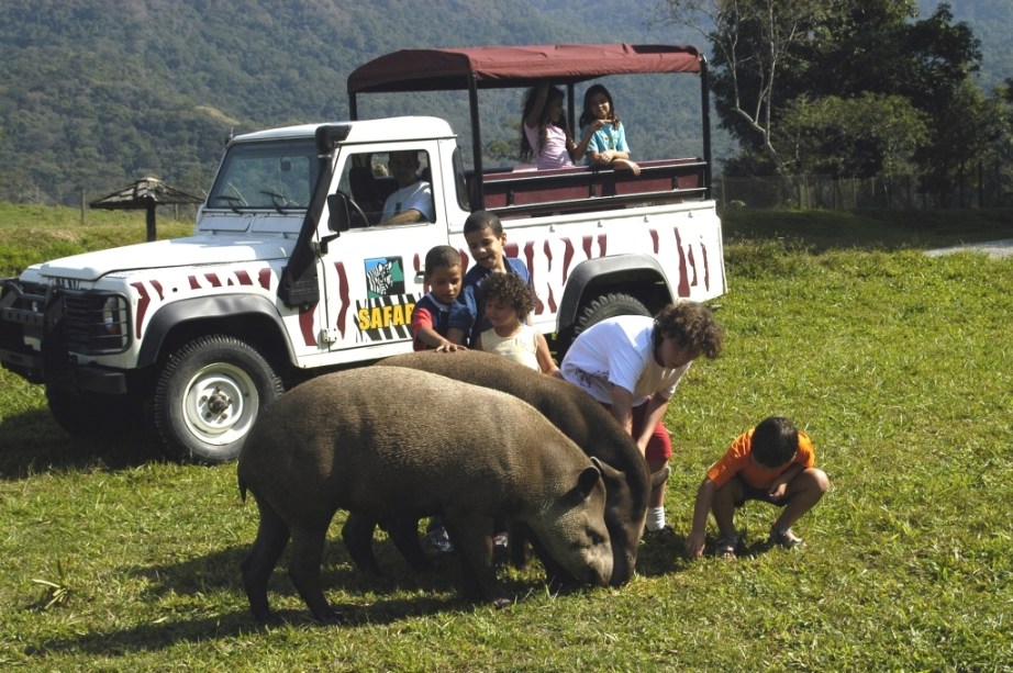 O safári permite contato direto com os animais