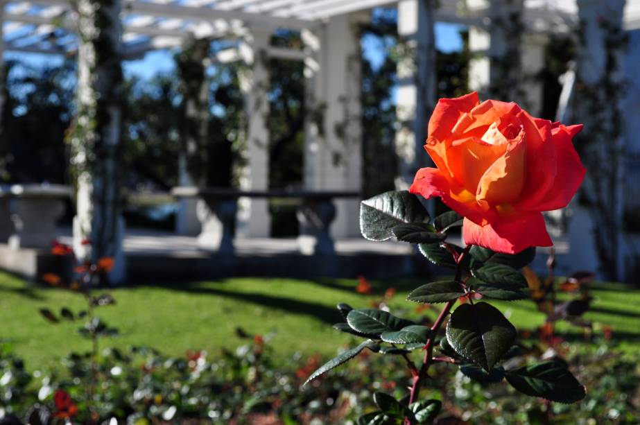 <strong>Paseo del Rosedal </strong>            Nas proximidades dos Bosques de Palermo, o lugar é cercado por muitas flores em uma área verde bonita e bem conservada. A atmosfera por aqui é tranquila, ideal para passeios românticos ou com as crianças. O jardim bem conservado pede uma pausa para relaxar e, de repente, colocar a leitura daquele livro de viagem em dia            <strong><a href="https://viajeaqui.abril.com.br/vt/blogs/rivotrip/aproveitando-a-primavera-em-buenos-aires-no-mais-florido-parque-da-cidade/" rel="VEJA MAIS FOTOS DO ROSEDAL, EM BUENOS AIRES" target="_self">+ Veja mais fotos do parque Rosedal, em Buenos Aires</a></strong>