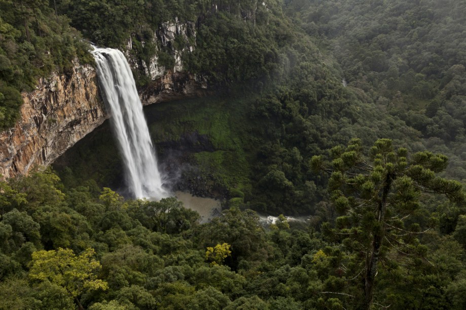 No Parque do Caracol está a cachoeira mais famosa de Canela (RS), finalista na categoria Destino de Inverno no <strong>Prêmio VT 2012/2013</strong>
