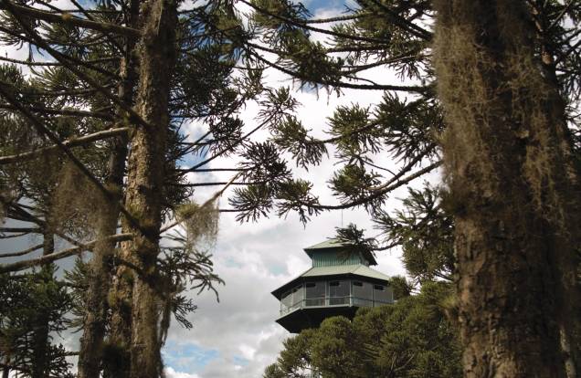 O Observatório Ecológico oferece uma visão de 360º do Parque do Caracol em Canela (RS). Há binóculos para observar a fauna e a flora além de uma vista deslumbrante da Cascata do Caracol