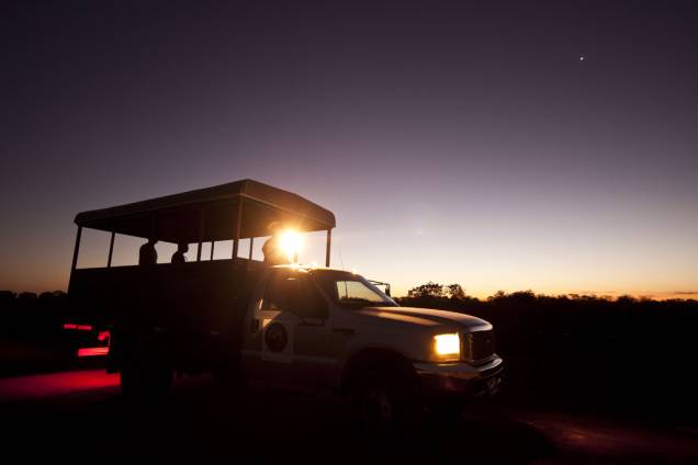 A <strong>focagem</strong> é a melhor oportunidade para observar os <strong>animais de hábitos noturnos</strong> no <a href="http://viajeaqui.abril.com.br/cidades/br-ms-miranda" rel="Pantanal" target="_self">Pantanal</a>. Cada parada do caminhão é uma surpresa! Pode ser um lobinho, uma coruja, um tamanduá ou, quem sabe, até uma <a href="http://viajeaqui.abril.com.br/materias/onca-america-noite" rel="onça-pintada" target="_self">onça-pintada</a>