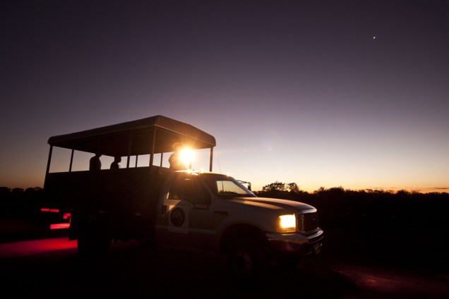 A <strong>focagem</strong> é a melhor oportunidade para observar os <strong>animais de hábitos noturnos</strong> no <a href="https://viajeaqui.abril.com.br/cidades/br-ms-miranda" rel="Pantanal" target="_self">Pantanal</a>. Cada parada do caminhão é uma surpresa! Pode ser um lobinho, uma coruja, um tamanduá ou, quem sabe, até uma <a href="https://viajeaqui.abril.com.br/materias/onca-america-noite" rel="onça-pintada" target="_self">onça-pintada</a>
