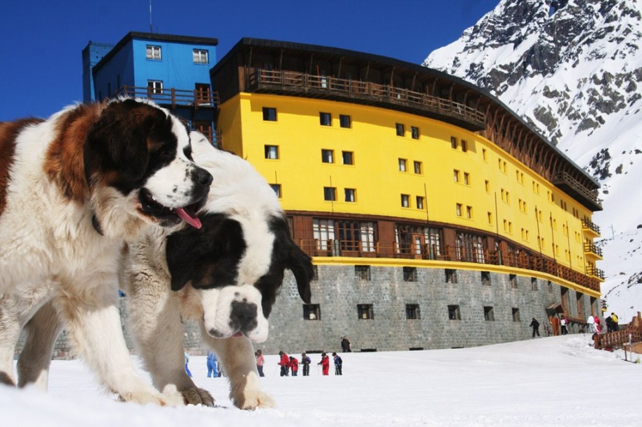O complexo de esqui de Portillo fica localizado a 164 quilômetros da capital Santiago, no Chile. Uma das cenas mais comuns de se encontrar por aqui são os belos cães da raça São Bernardo caminhando pela região, como no principal hotel do lugar