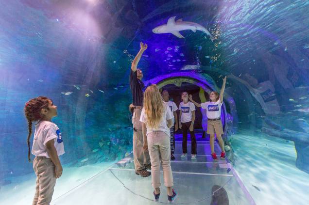 <strong>Para se divertir: Sea Life </strong>    O aquário, que fica dentro complexo I-Drive 360, tem mais de 5 mil espécies marinhas do mundo todo. O 360° Underwater Tunnel (foto) é uma das atrações mais procuradas por lá. Os visitantes passeiam no túnel enquanto tubarões e milhares de espécies de peixes nadam ao seu redor