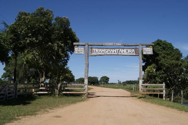 A <strong>Rodovia Transpantaneira</strong> é uma opção para quem quer fazer <strong>safári </strong>por conta própria no <a href="http://viajeaqui.abril.com.br/cidades/br-mt-pantanal" rel="Pantanal Norte" target="_self">Pantanal Norte</a>. O ideal é percorrer o caminho entre 6h e 9h ou após às 16 horas, quando os <a href="http://viajeaqui.abril.com.br/national-geographic/especiais/bichos-do-brasil" rel="animais" target="_blank">animais</a> estão mais ativos. Nos 100 primeiros quilômetros (partindo de <a href="http://viajeaqui.abril.com.br/cidades/br-mt-pocone" rel="Poconé" target="_self">Poconé</a>) concentram-se as pousadas (a grande maioria abre o restaurante para quem não está hospedado). A partir dali o caminho se torna mais selvagem e inóspito. São 45 quilômetros onde a <strong>observação de fauna </strong>se torna mais frequente. É essencial sair com o tanque cheio de Poconé e com estepes de reserva, pois não há postos de abastecimento na estrada. Faça a viagem durante a seca (entre abril e setembro). Nos meses de cheia (outubro a março) até veículos 4x4 podem ter problemas