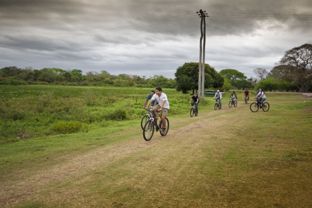 O <strong><a href="https://viajeaqui.abril.com.br/cidades/br-ms-miranda" rel="Pantanal" target="_self">Pantanal</a></strong> é muito plano e a <strong>bicicleta</strong> é um veículo excelente para explorar trilhas em meio aos animais selvagens. O silêncio é a grande vantagem desse tipo de passeio