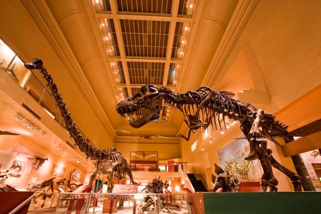 Ala dos dinossauros do Museum of Natural History
