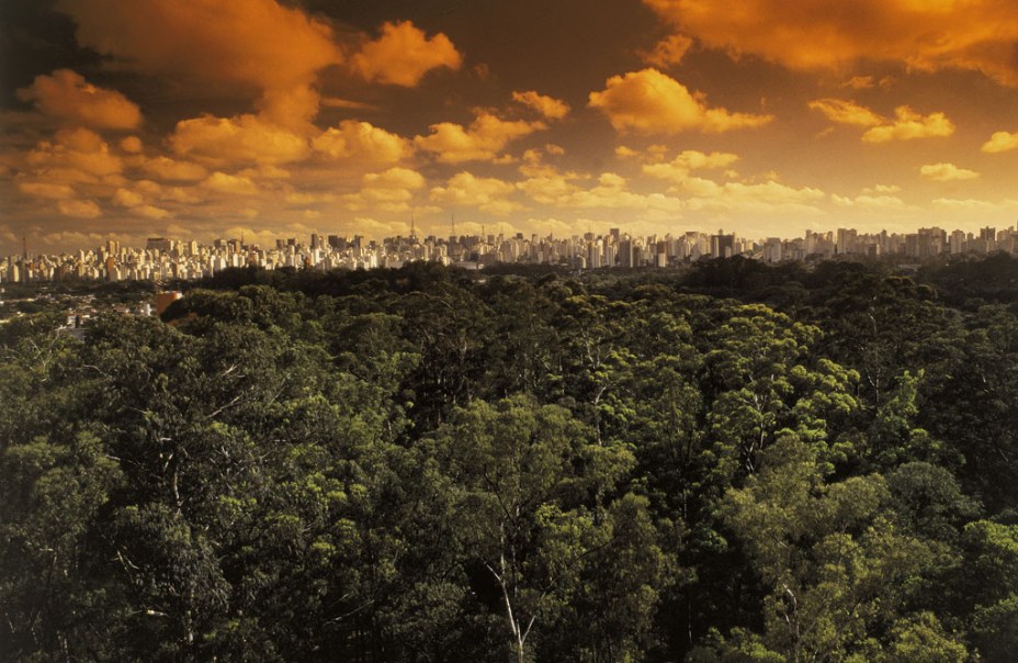 Vista aérea do Parque do Ibirapuera com a cidade ao fundo