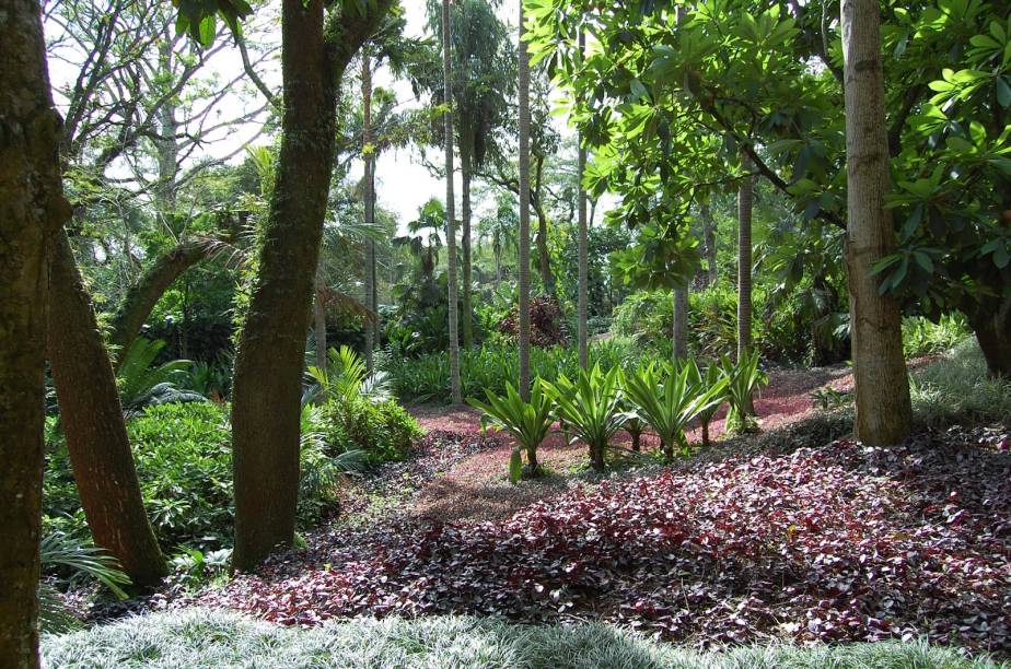 Sítio Roberto Burle Marx, no Rio de Janeiro