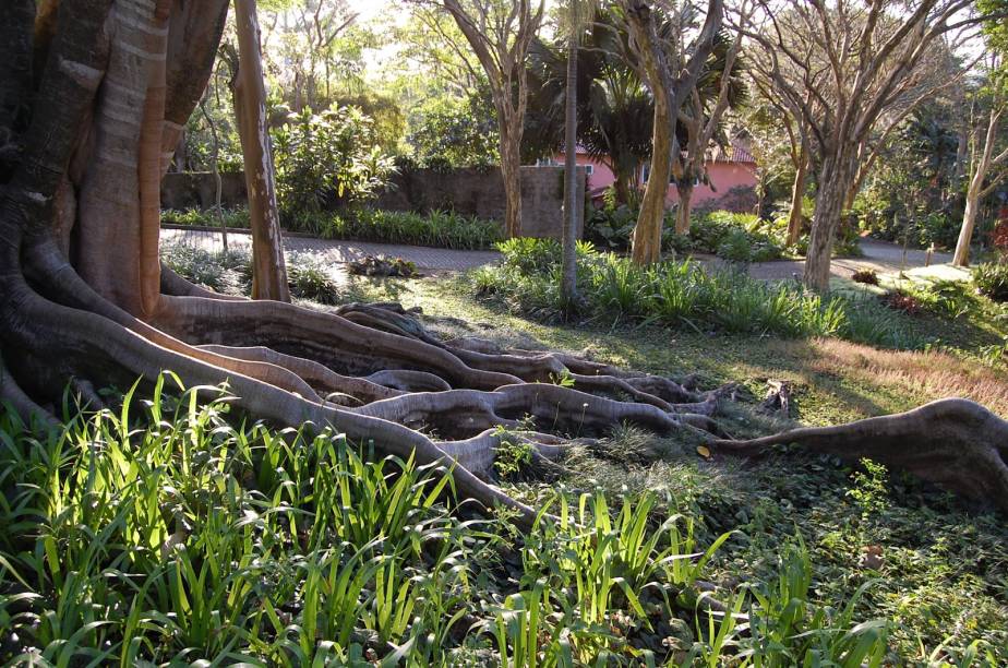  Sítio Roberto Burle Marx, no Rio de Janeiro