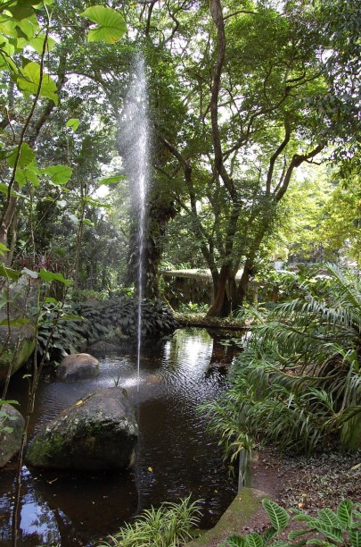 Sítio Roberto Burle Marx, no Rio de Janeiro