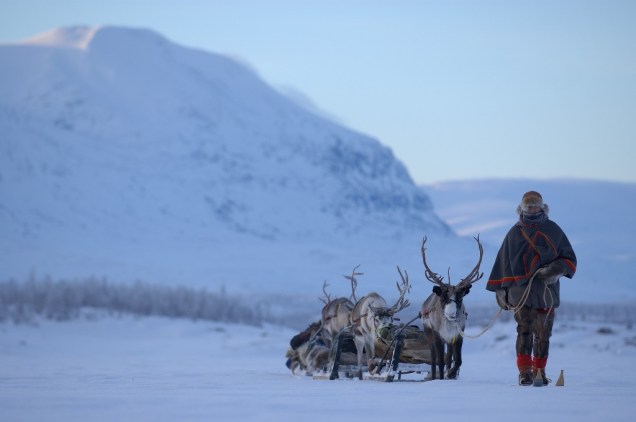 Expedições na Lapônia são um tipo de atividade recomendada para quem quer conhecer um pouco mais da cultura sami, seus rebanhos de renas e o modo de vida junto ao Círculo Polar Ártico