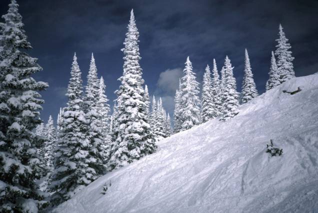 <strong>Steamboat Springs, Colorado, Estados Unidos</strong><br />        Além de ter um dos maiores resorts de esqui do Colorado, Steamboat Springs é única no estado. É autenticamente uma cidade de trabalhadores cowboys que se tornou um dos pontos de esqui mais importantes do país. Howelsen Hill é a maior área do esporte em funcionamento contínuo do Colorado. Anualmente, em fevereiro, há o Winter Carnival, quando caminhões despejam neve na rua principal da cidade para competições de skijoring (puxados por cavalos, cachorros ou veículos) e a passagem de bandas escolares que desfilam em esquis. Steamboat Ski Resort tem neve fofa e leve, além de esqui em árvores