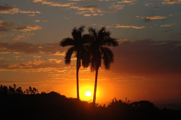 Pôr do sol entre as palmeiras do Lake Villas Charm Hotel, em Amparo - SP