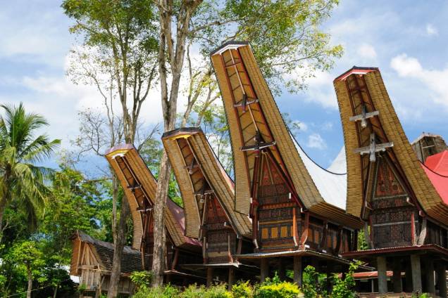 Centro da vida social do povo Toraja, em Sulawesi, os tongkonans são edificações construídas sobre pilares e possuem seus característicos telhados de bambu. Antes reservadas para a aristocracia, com o passar dos anos famílias comuns, mas abastadas, passaram a construí-las para seu uso