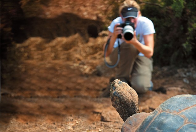 Tartaruga sendo fotografada em Galápagos