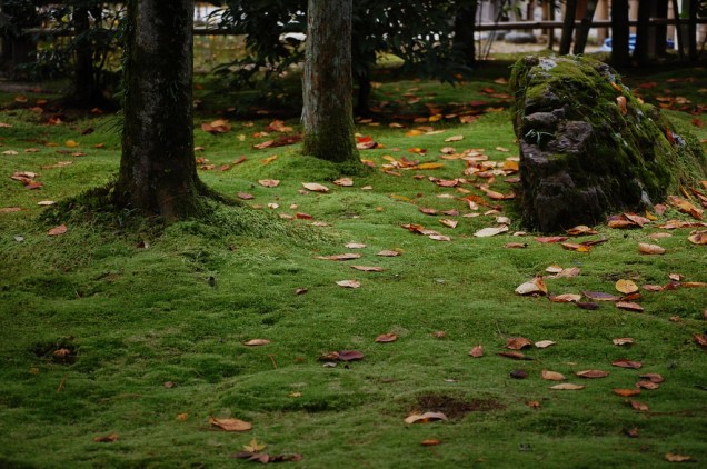 Jardins do templo Ryoanji, no norte de Kyoto