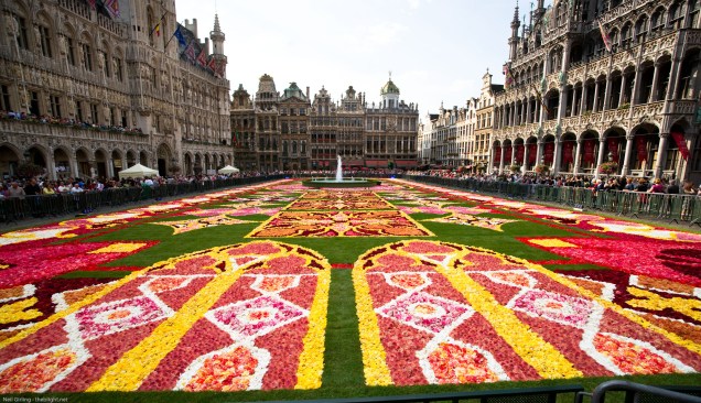 Todo ano par, por volta do mês de agosto, o chão da Grand Place é enfeitado por um gigantesco tapete de begônias de todas as cores