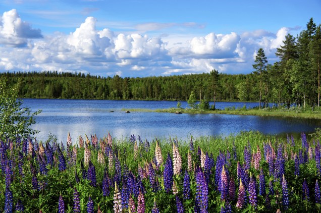 Considerado um dos mais belos países da Escandinávia, a Suécia concentra muitos lagos, que completam seus cenários repletos de natureza, charme e romantismo