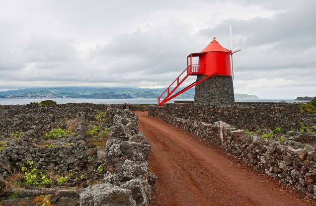 <strong>Ilha do Pico </strong> O nome é referente à Montanha do Pico, a mais alta de Portugal. A Ilha faz parte do arquipélago dos Açores e é uma das mais bonitas. A Paisagem da Cultura da Vinha é o que faz da Ilha um patrimônio, com seu solo de lava negra e os muros de pedras que protegem as uvas da água do mar e do vento