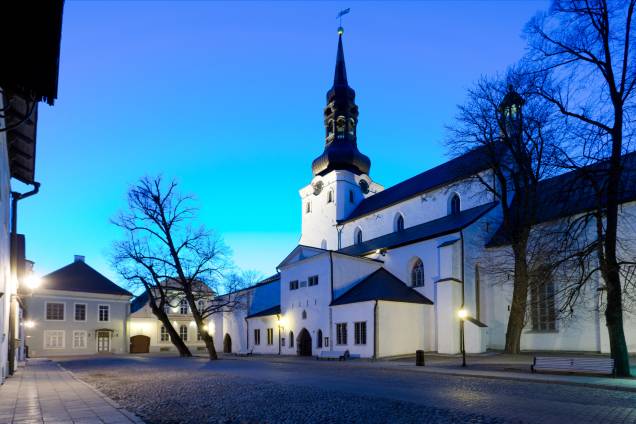 A St. Marys Cathedral é a mais antiga igreja da Estônia e uma das mais importantes do país. A construção, datada do século XIII, foi designada para ser católica, mas tornou-se Luterana durante a reforma religiosa que modificou a Europa A St. Marys Cathedral é a mais antiga igreja da Estônia e uma das mais importantes do país. A construção, datada do século XIII, foi designada para ser católica, mas tornou-se Luterana durante a reforma religiosa que modificou a Europa